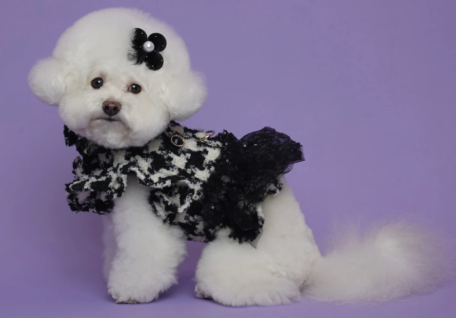 【COMOCOMO】HOUND TOOTH NEW BLACK  新千鳥格紋胸背衣