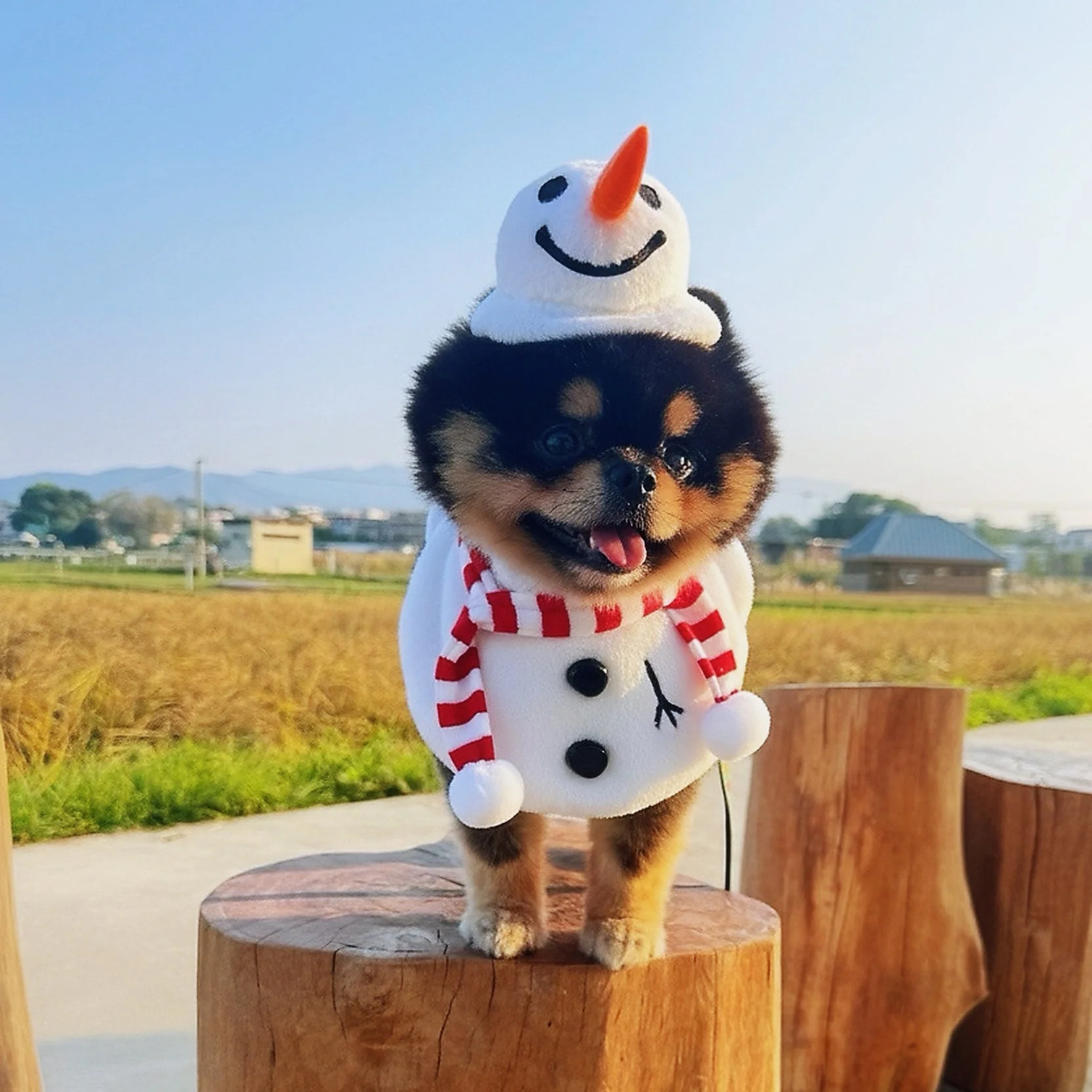 【MOMOJI】寵物帽 | 節日 聖誕節 | 雪人聖誕帽