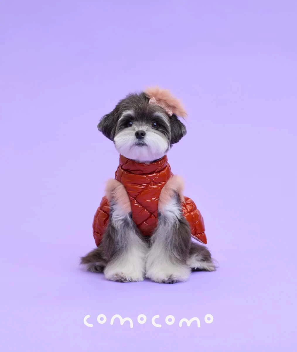 【COMOCOMO】 Forgarden Padding 焦糖棕羽絨胸背夾克