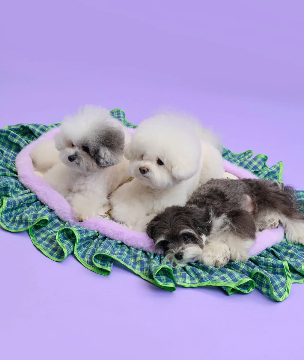 【COMOCOMO】Forgarden winter blanket