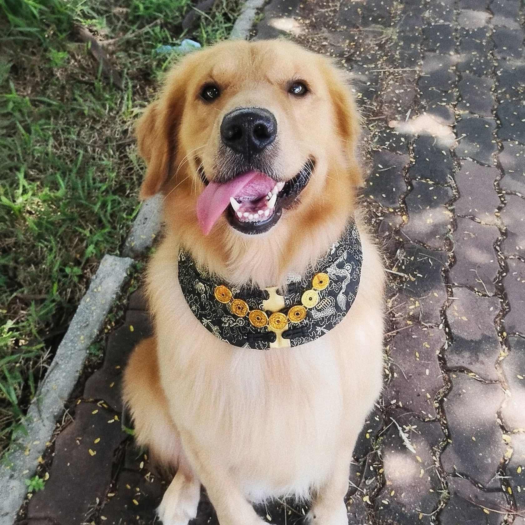 【MOMOJI】 寵物領巾 | 節日 新年 |Amulet 金寶