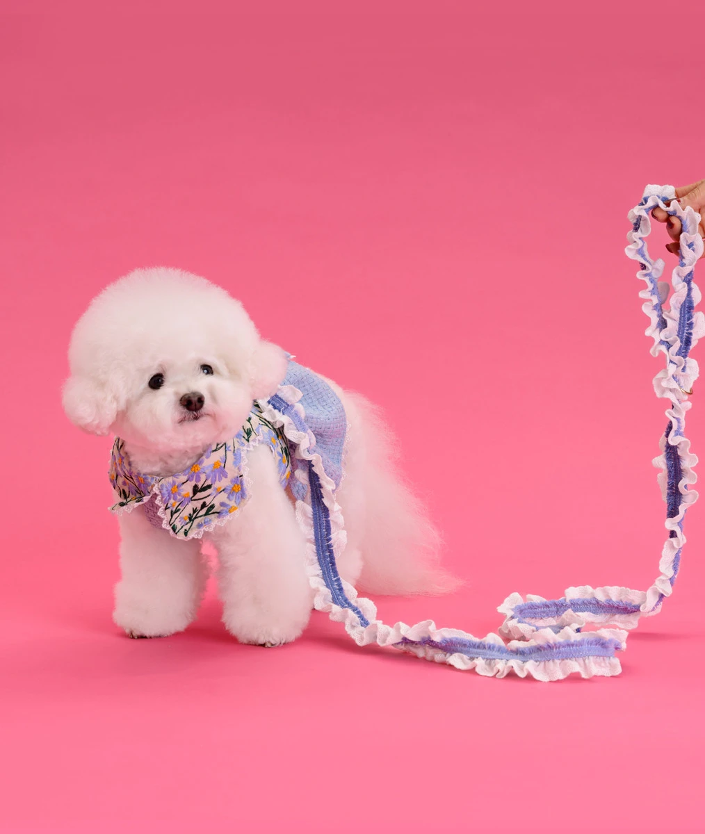 【COMOCOMO】Forgarden Spring leash