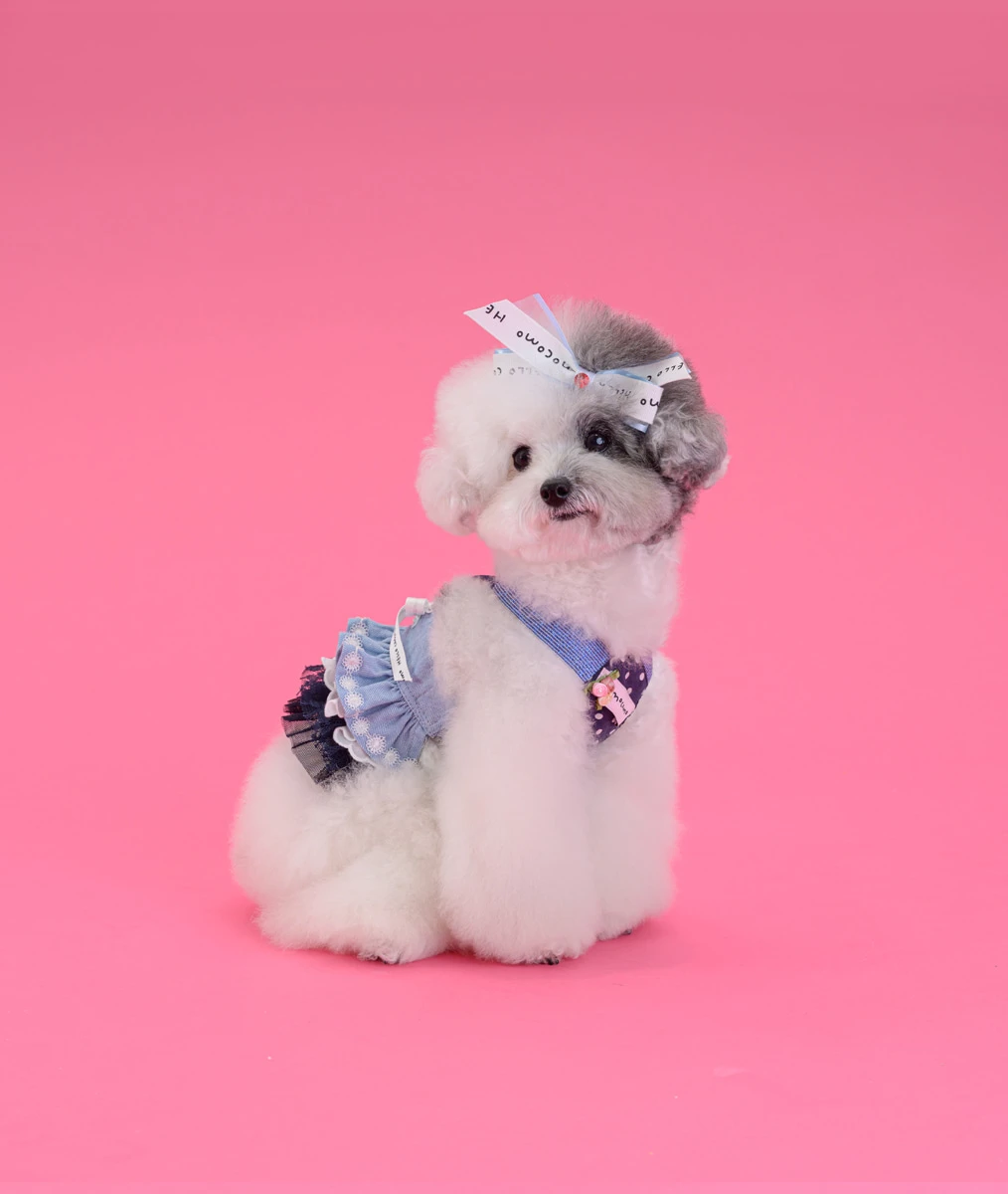 【COMOCOMO】 Irene blue corset 天藍牛仔千層蛋糕裙