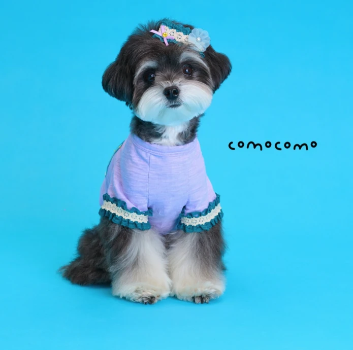 【COMOCOMO】Porket boogie 薰衣草日常上衣