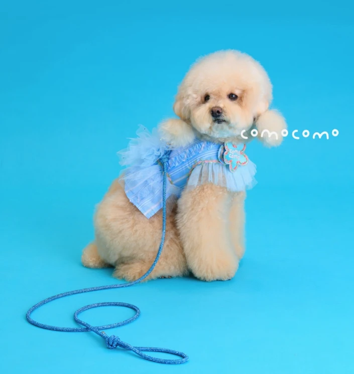 【COMOCOMO】Aqua Bling 藍寶石手工牽繩(含寶石蝴蝶結)