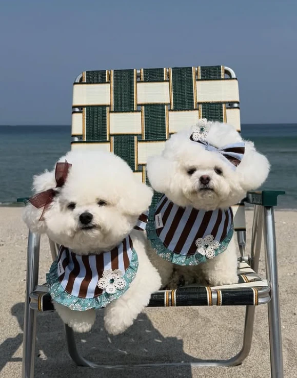 【COMOCOMO】Stripe Liberty Cape ｜ Liberty復古條紋圍脖