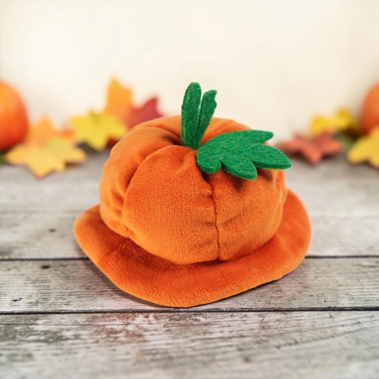 【MOMOJI】寵物帽 | 節日 萬聖節 | Pumpkin Scholar Hat | 南瓜帽