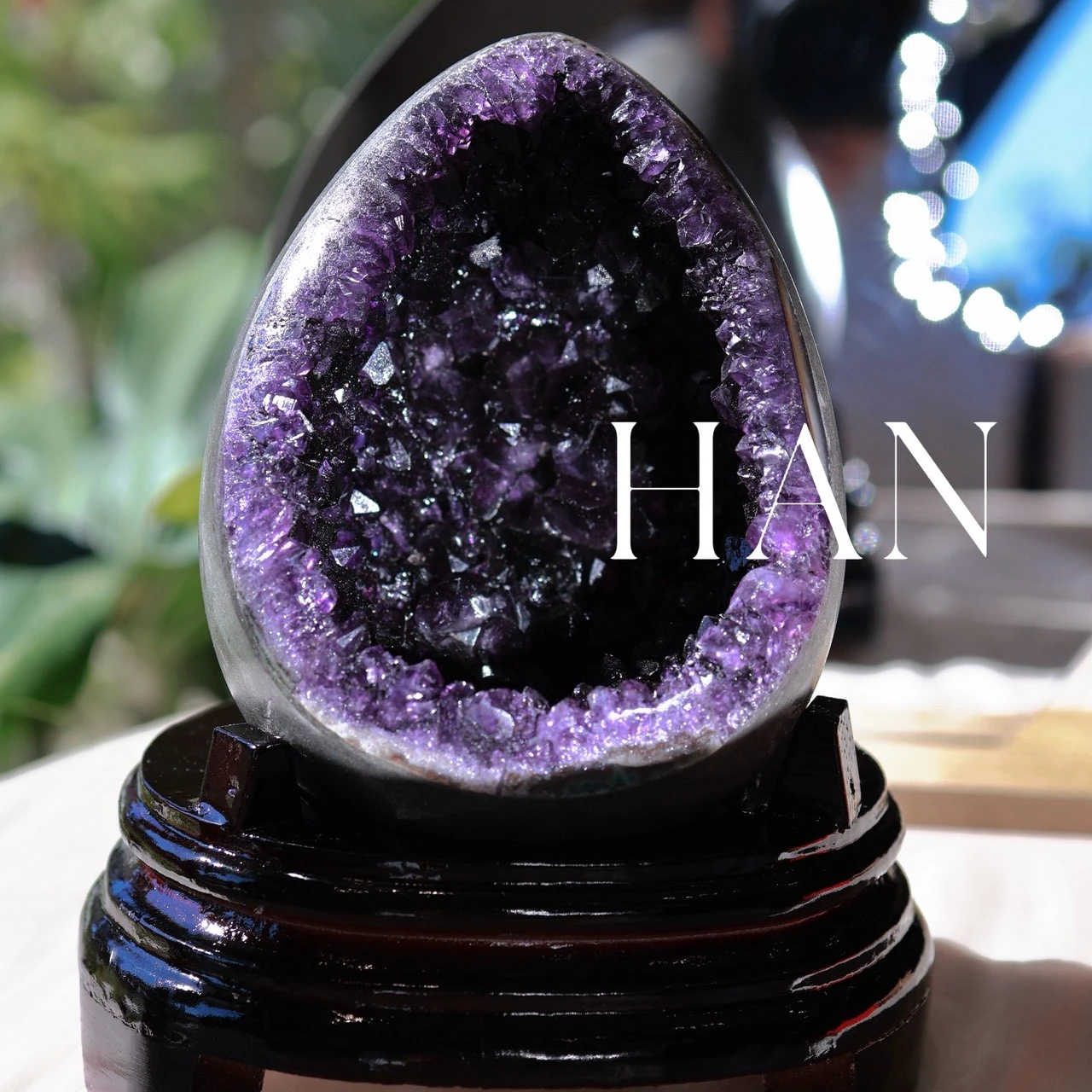 聚寶恐龍蛋｜紫水晶🔮