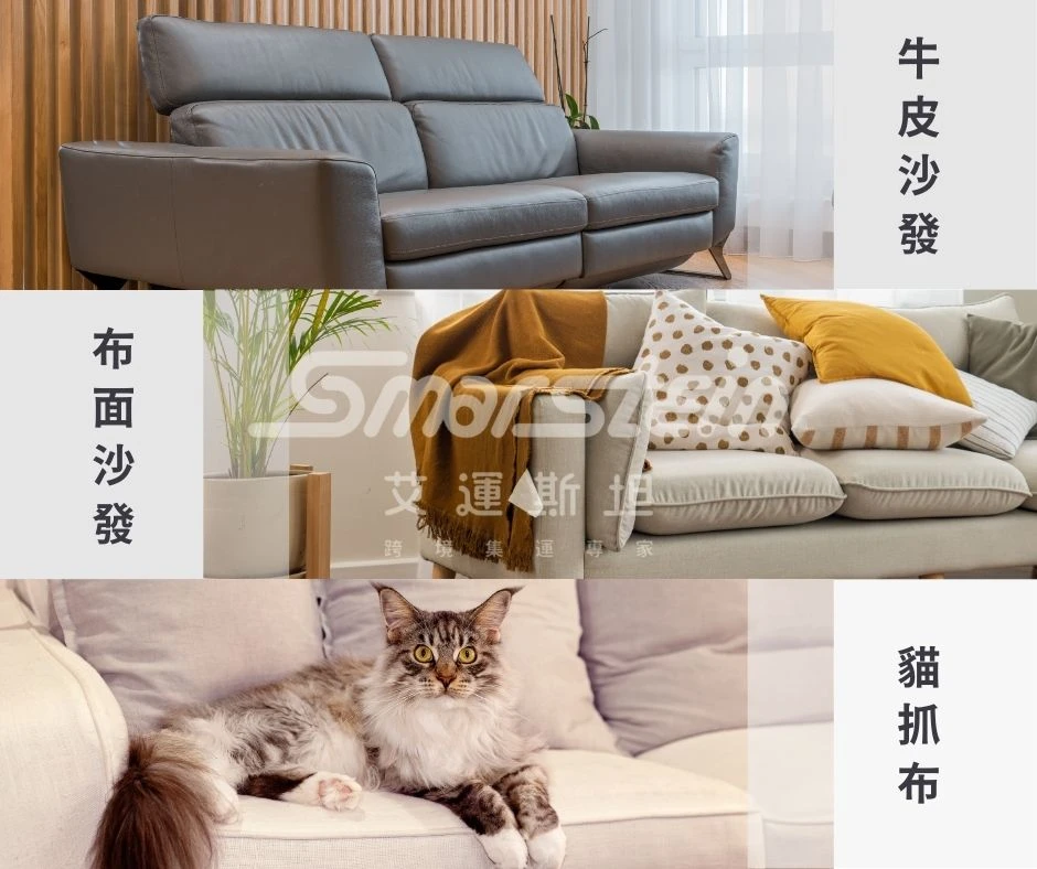 材質差異：真皮、布料與貓抓布