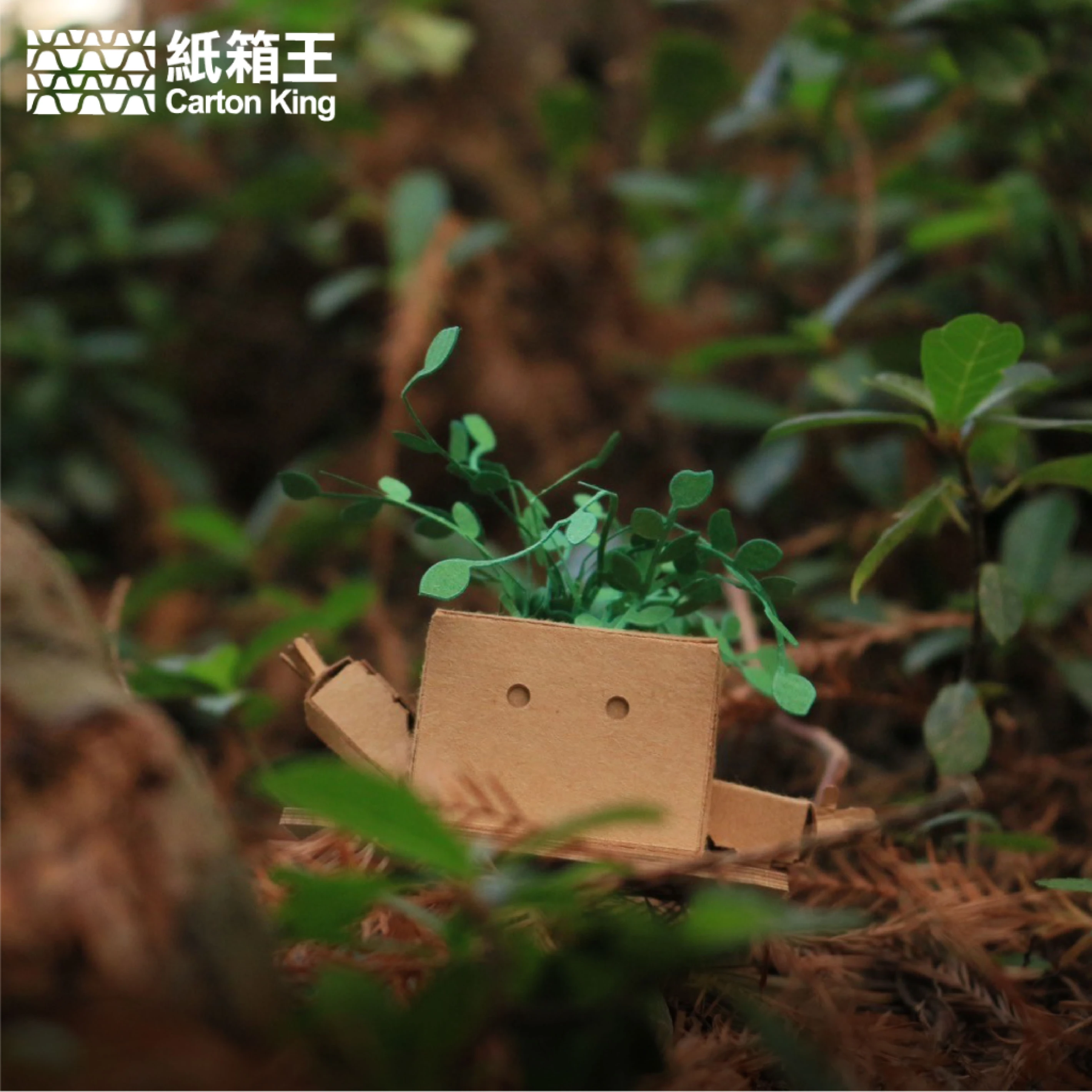 Mini Plant DIY-植栽系列 【共十款】