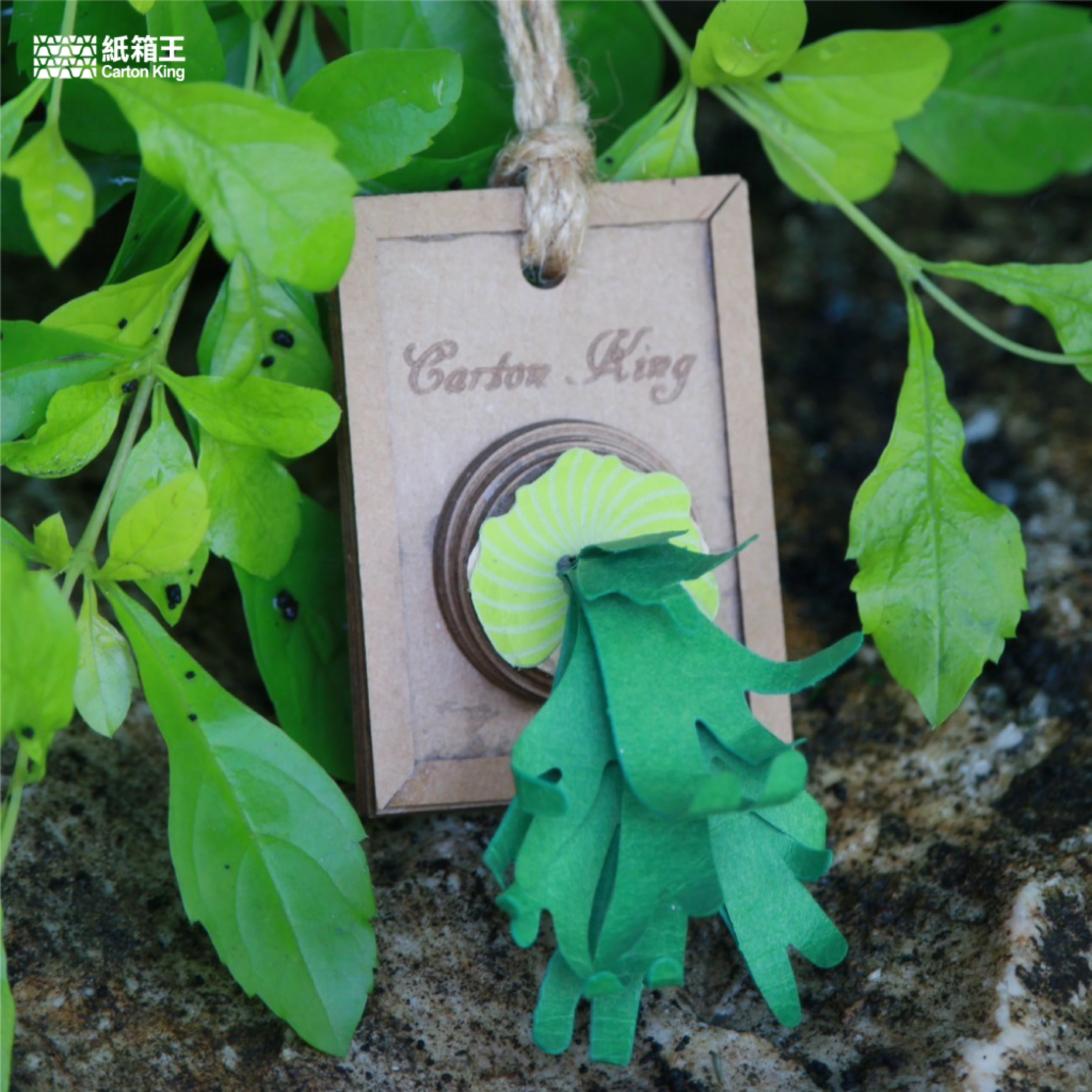 Mini Plant DIY-植栽系列 鹿角蕨