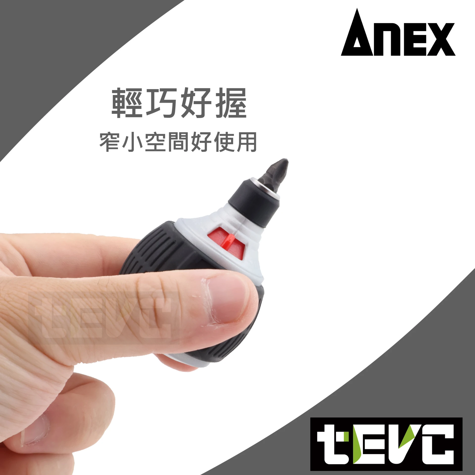 法螺貝31cm 楽天市場】法螺貝（日用品雑貨・文房具・手芸）の通販