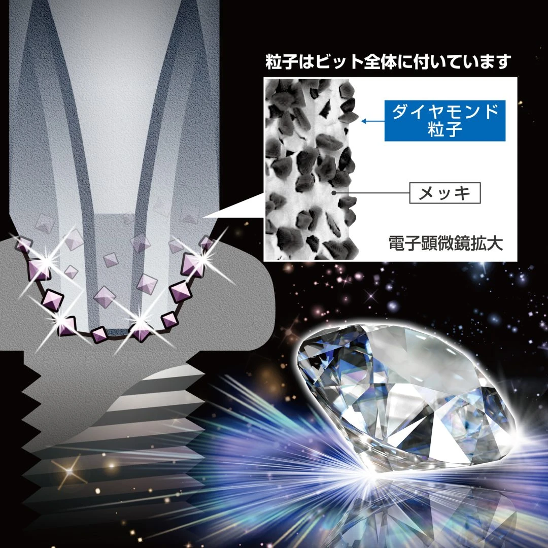 《tevc》ANEX 日本製 安耐適 雙頭 鑽石起子頭 十字 ADPM