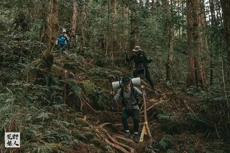 《藍天,枯木,堰塞之湖》水漾森林 兩天一夜