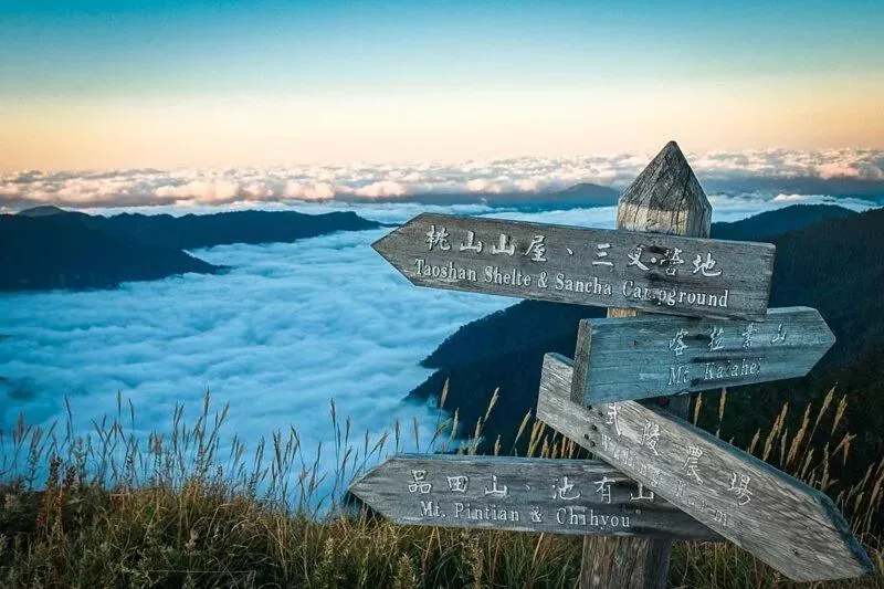 《杜鵑,雲海,武陵兩秀 》桃山 喀拉業山 兩天兩夜