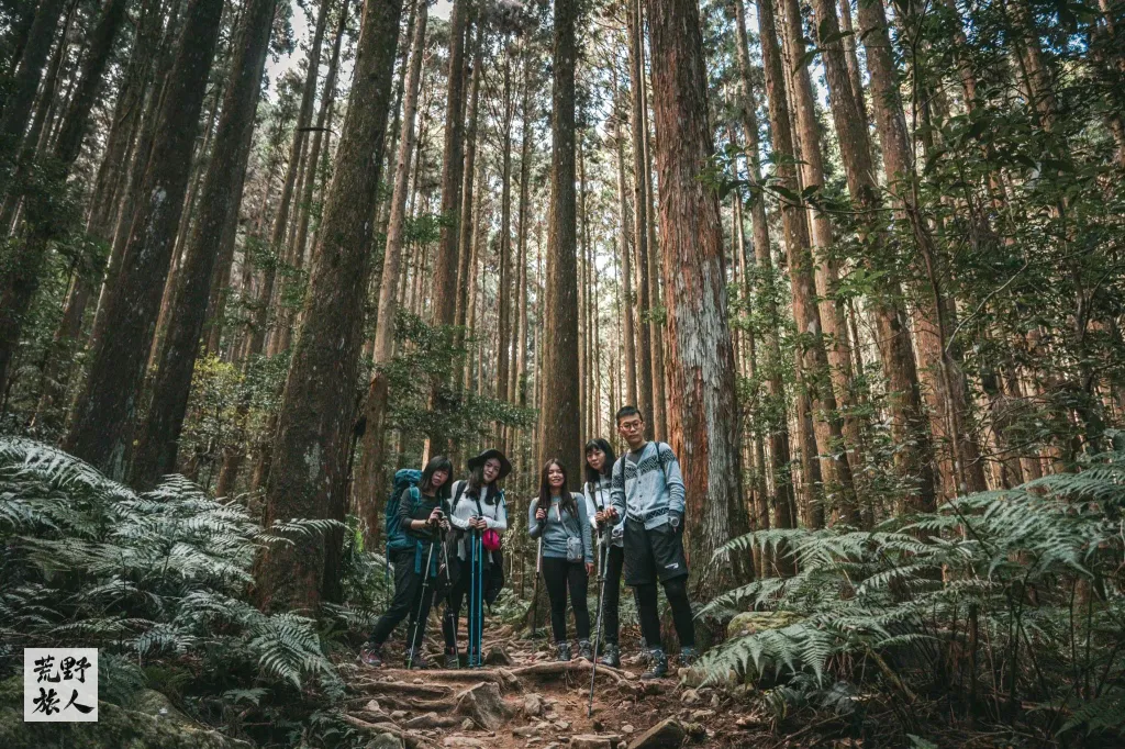 《迷霧,柳杉,眺望群峰》 加里山一日單攻