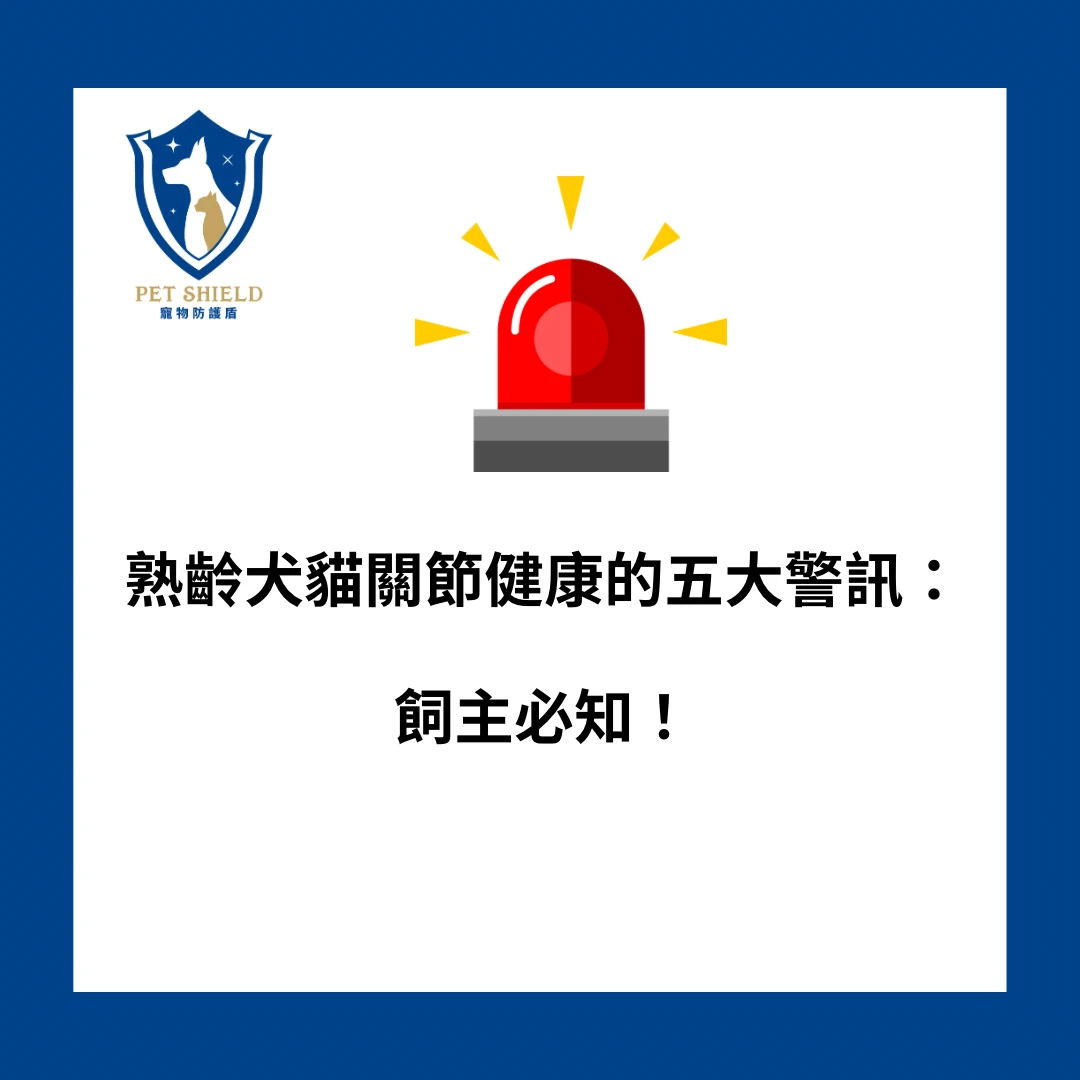 熟齡犬貓關節健康的五大警訊：飼主必知！