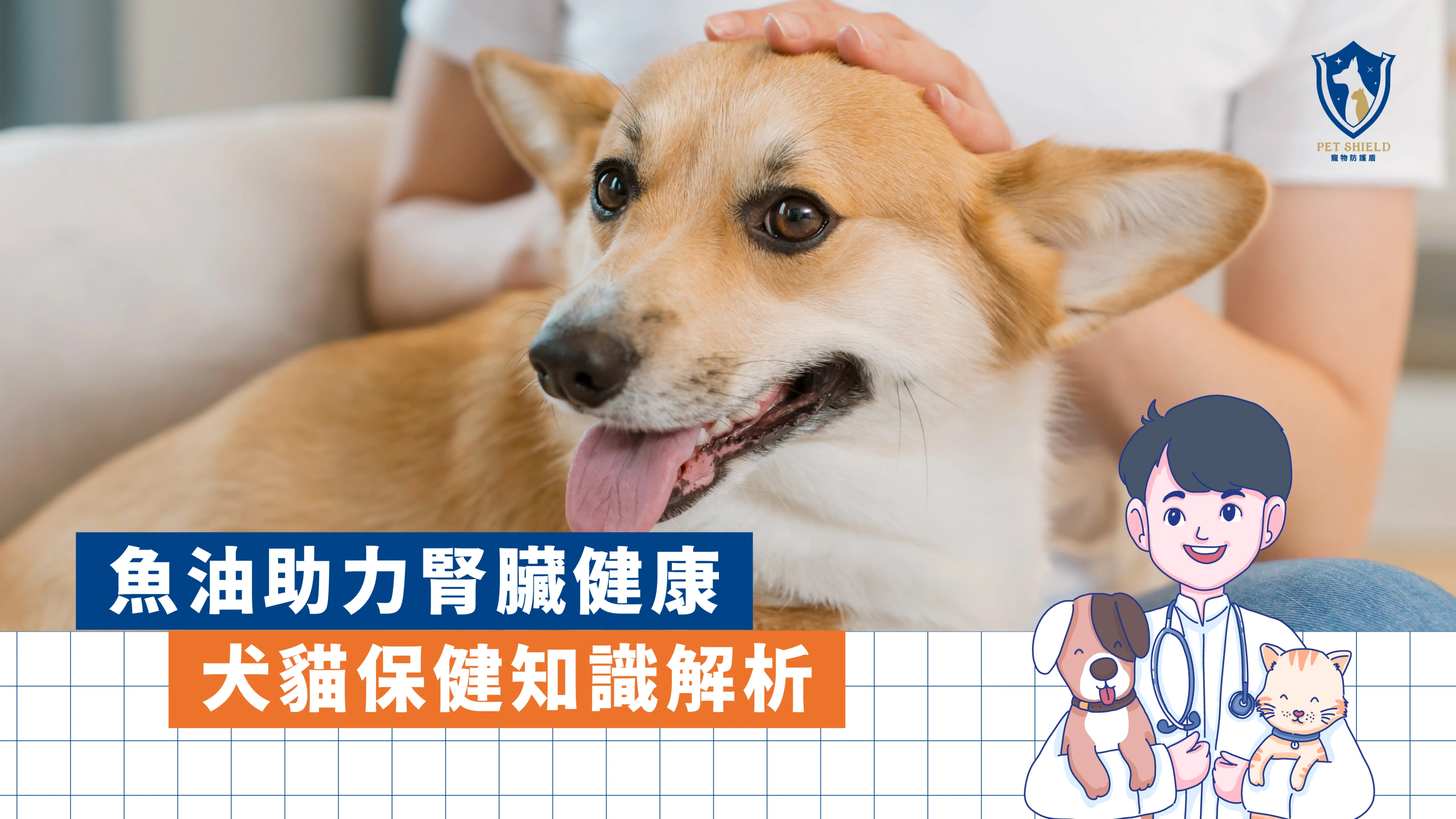 魚油不是越多越好！獸醫教你算對犬貓 EPA、DHA 劑量