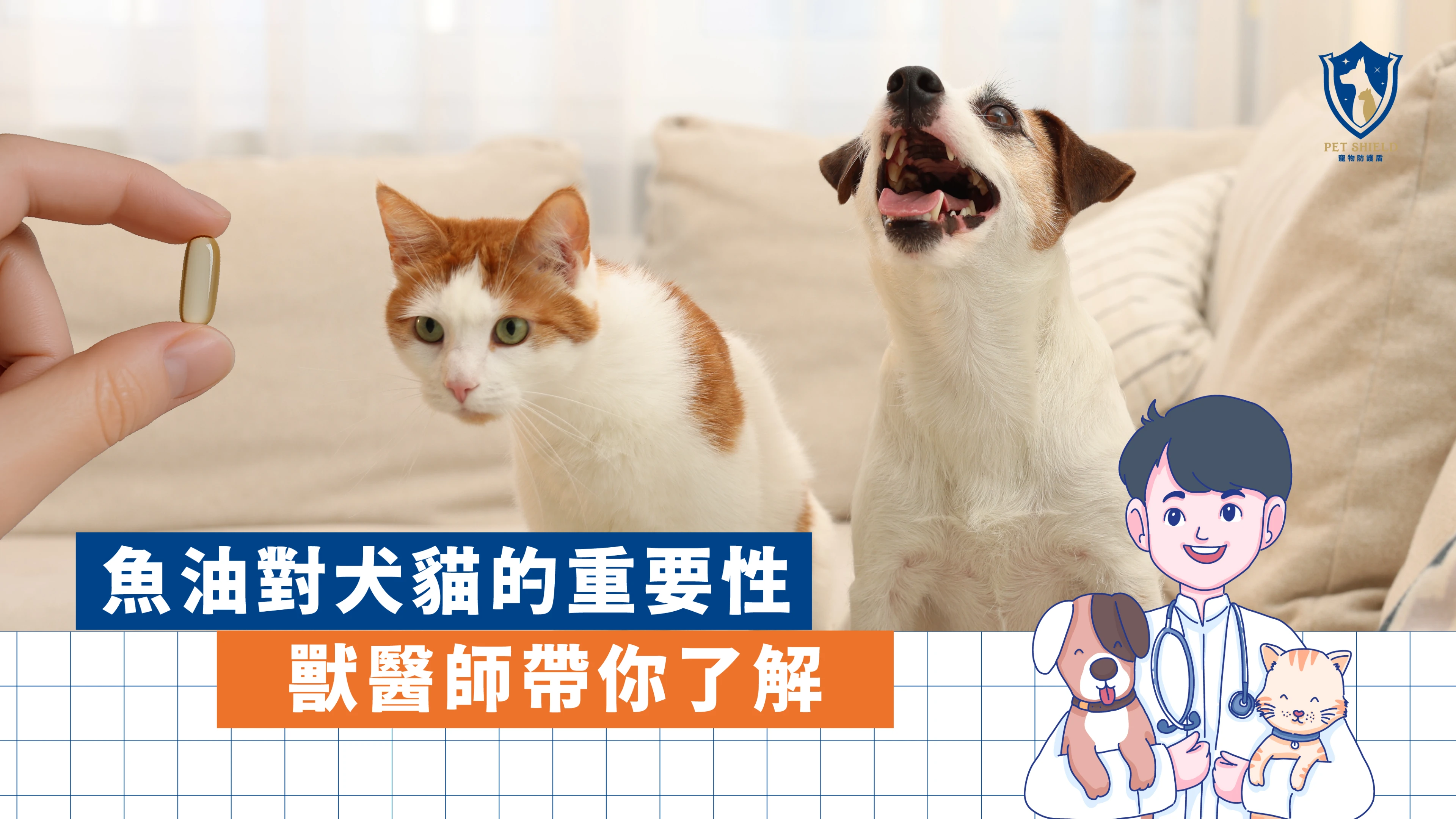為什麼獸醫都建議補魚油？犬貓 Omega-3 關鍵解析