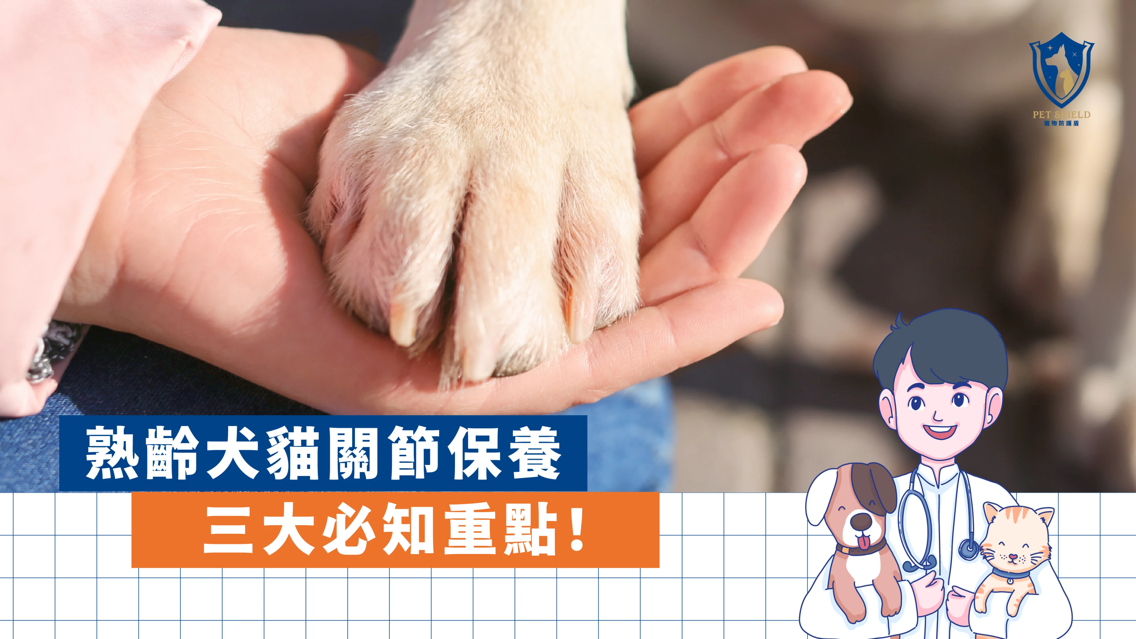 關節保養別等老了才做！獸醫提醒犬貓提早關鍵
