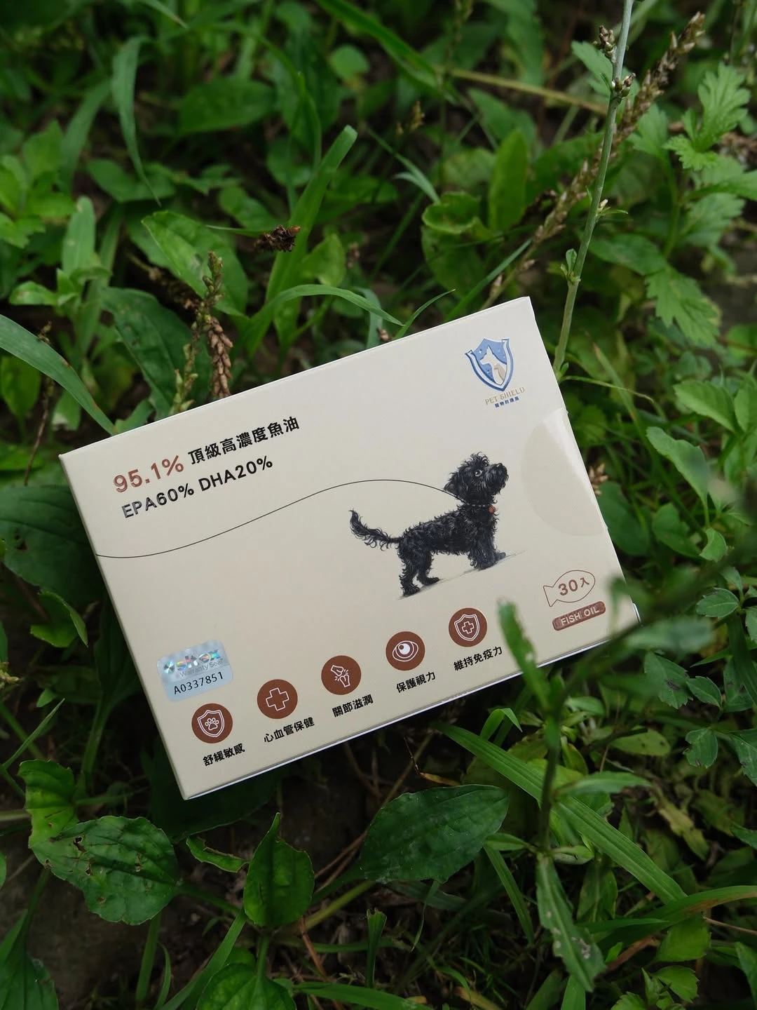 挑嘴柴柴也買單的魚油體驗｜《寵物防護盾 95.1% 高濃度魚油》分享