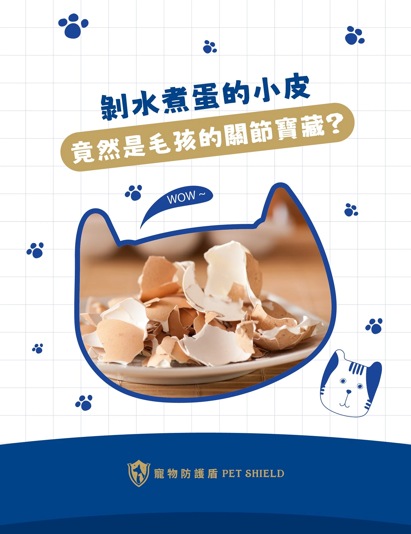 蛋殼膜不是廚餘，是毛孩關節保養的隱藏寶藏