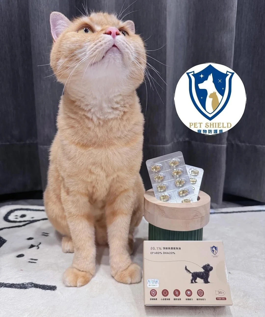 車車家族的高濃度魚油開箱分享｜《寵物防護盾 95.1% 高濃度魚油》