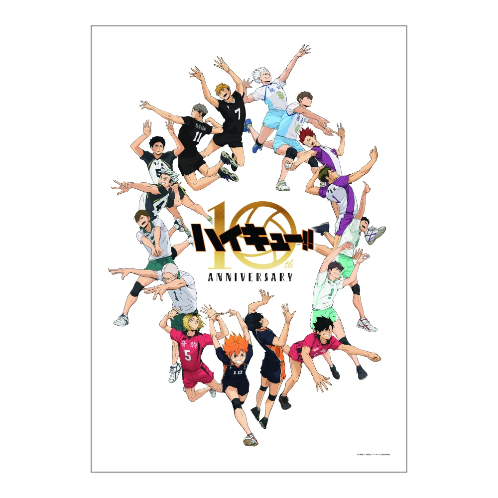 【現貨】東寶 排球少年!! 10週年 B2 掛軸 布掛畫 KV