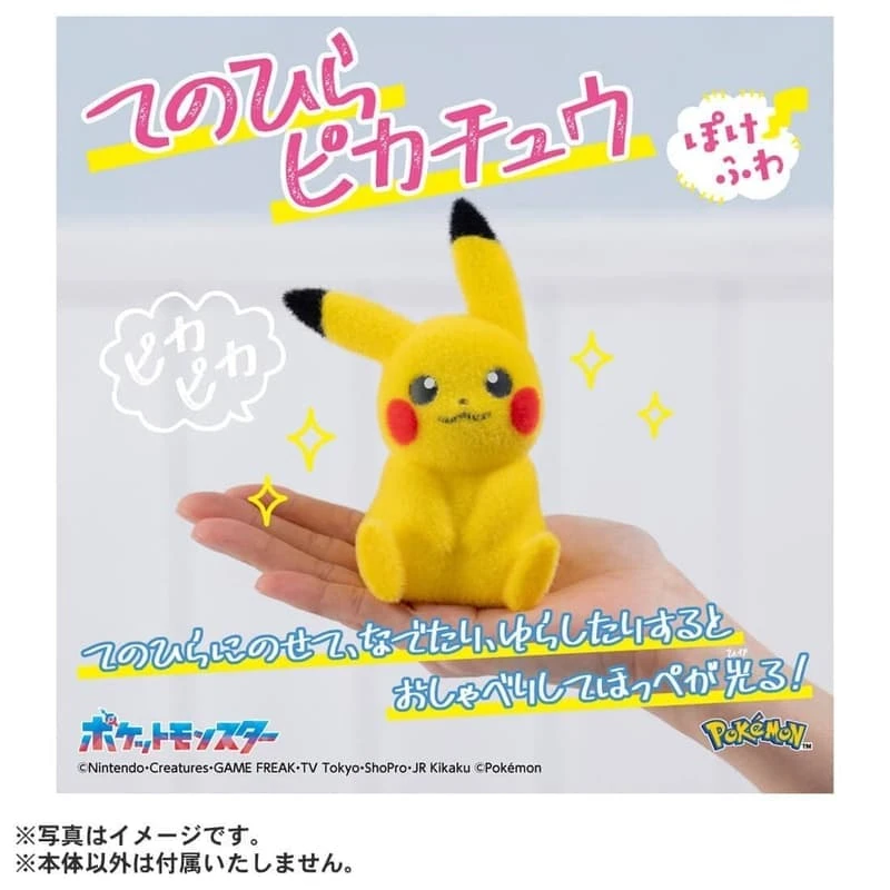【現貨】代理 TAKARATOMY 寶可夢30週年 毛絨絨 掌上 皮卡丘🚪