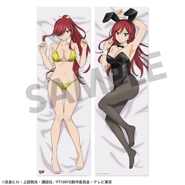 【現貨】 HOBBY STOCK FAIRY TAIL魔導少年 新繪製 雙面印刷抱枕套 艾爾莎