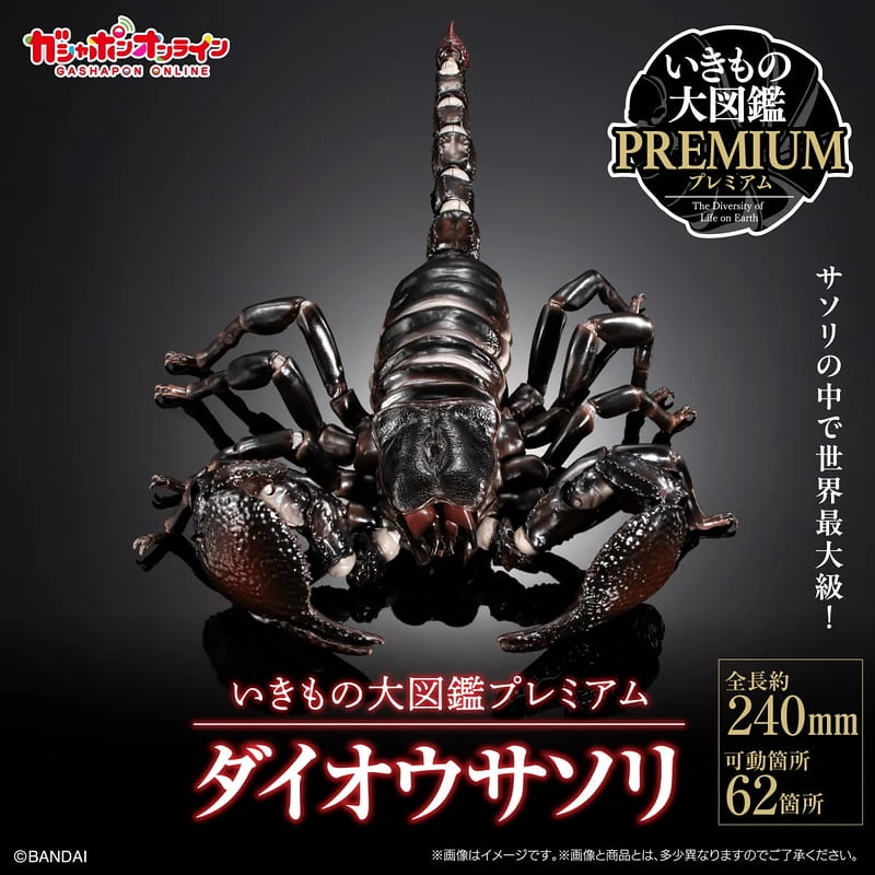 11月預購 萬代 生物大圖鑑 PREMIUM 帝王蠍★