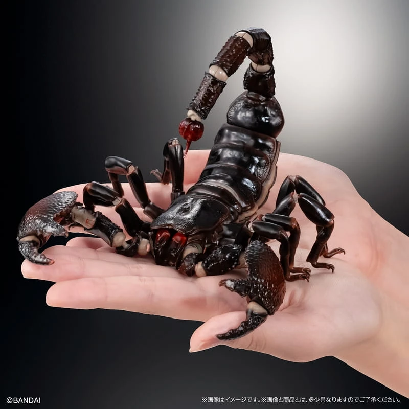 11月預購 萬代 生物大圖鑑 PREMIUM 帝王蠍★