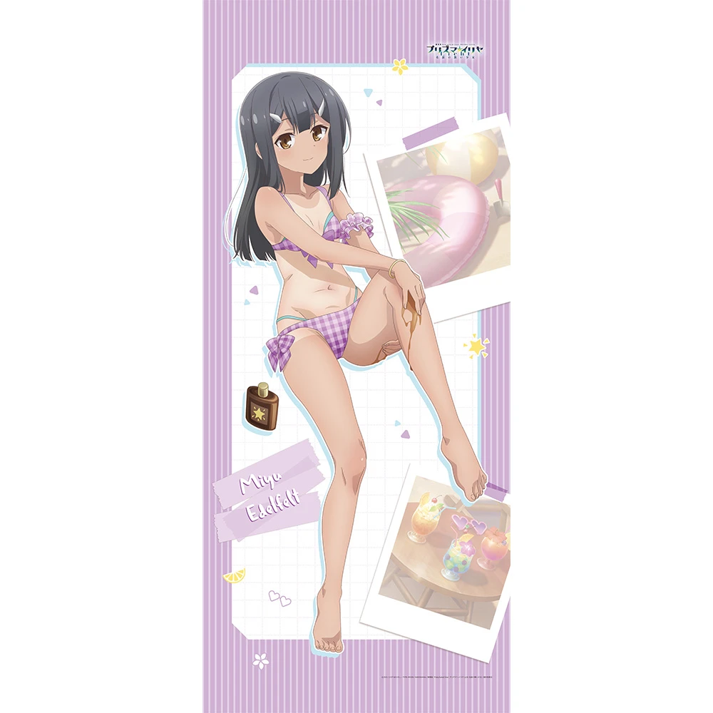 1月預購 窗簾魂「Fate/kaleid liner 魔法少女☆伊莉雅 Licht 無名少女」全新繪製 美遊 曬黑Ver. 特大掛軸 免訂金 ⚫
