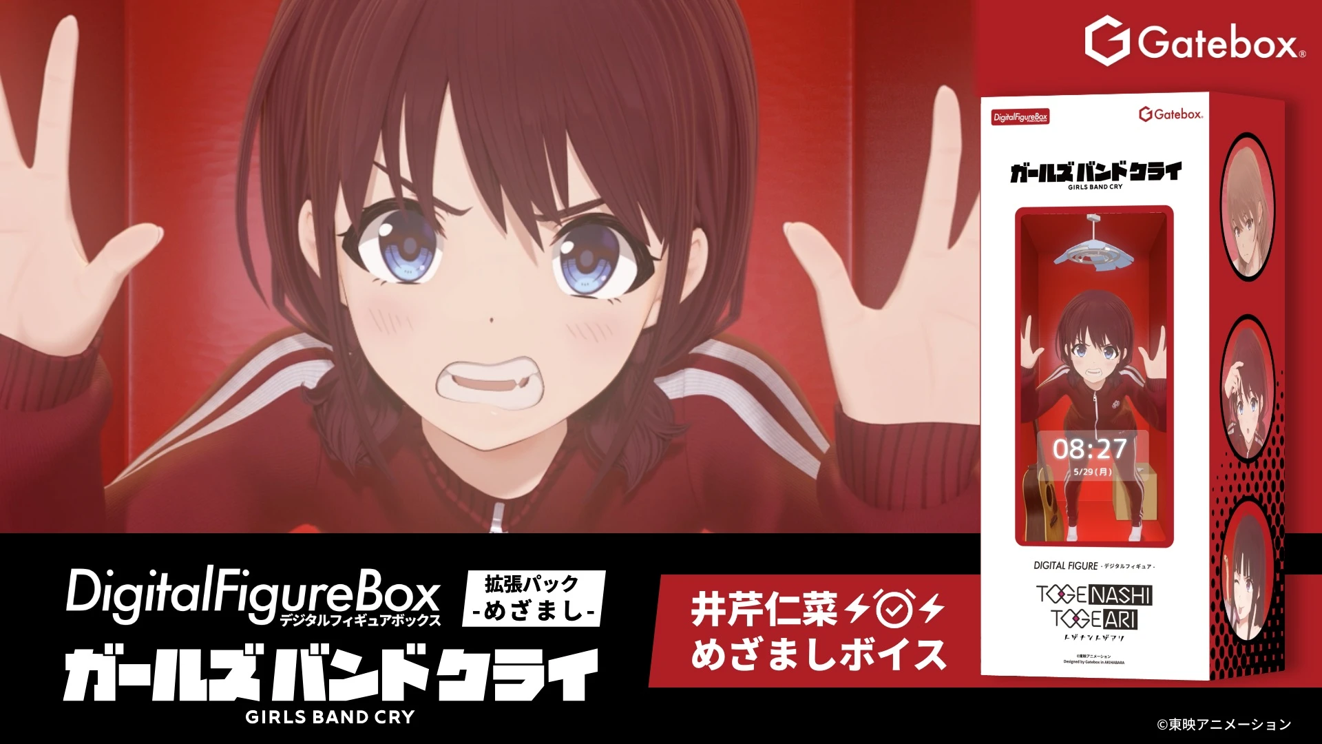 11月預購 Gatebox 少女樂團 吶喊吧 數位全息人物影像盒 擴充包 井芹仁菜 鬧鈴 特別版 ⚫