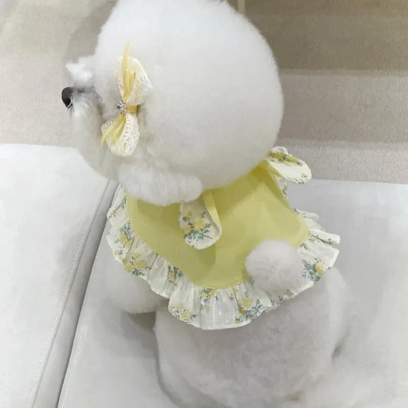 momentive 兔兔碎花披肩