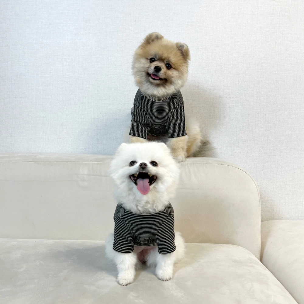 POM! 棉花糖條紋上衣