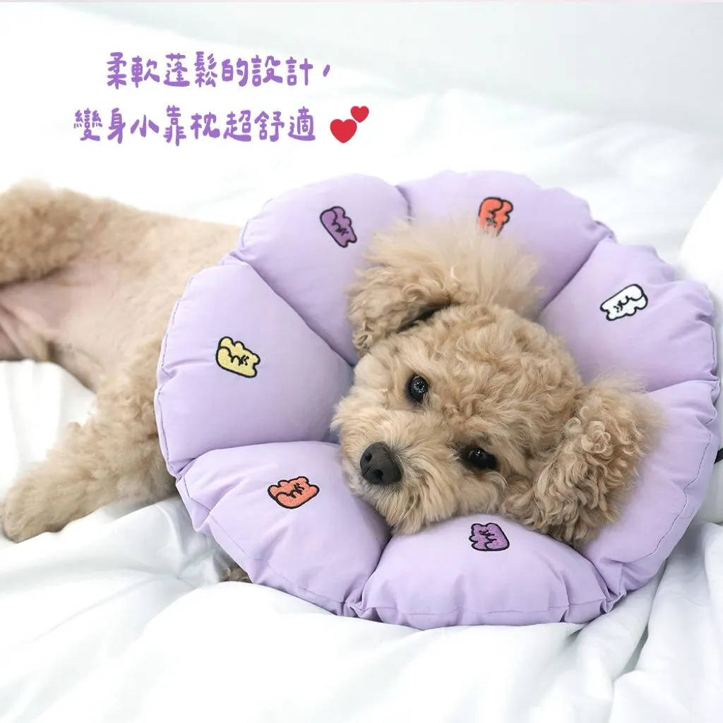 PARISDOG QQ小熊軟糖伊莉莎白防舔圈