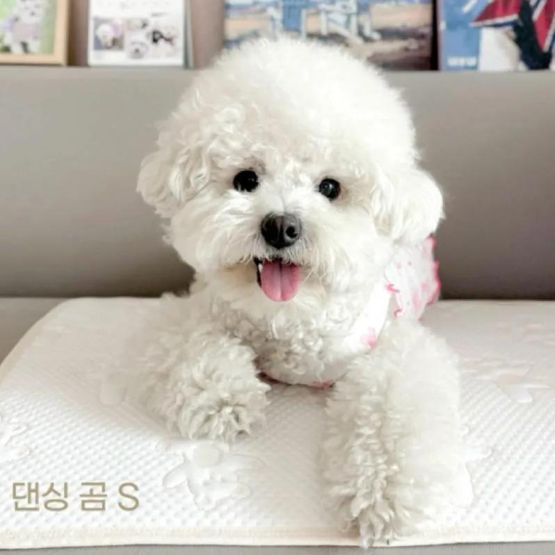 Grooming Dog DURARON 涼感墊