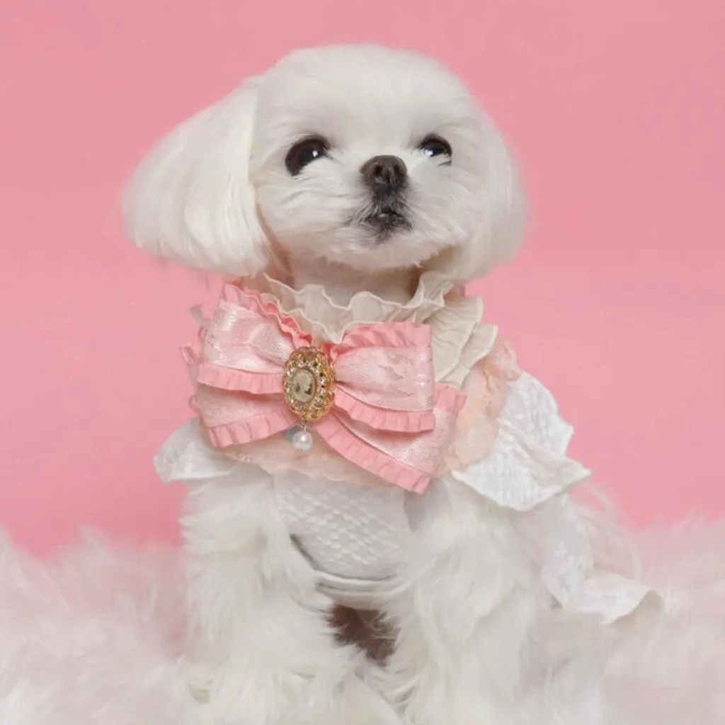 MISS&PET 優雅宮廷風領巾 粉色