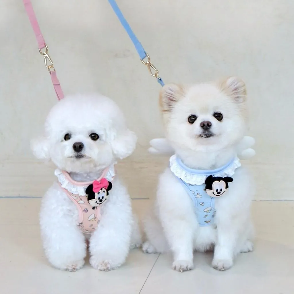 ITSDOG 迪士尼寶寶朋友天使胸背帶 米奇＆米妮 現+預