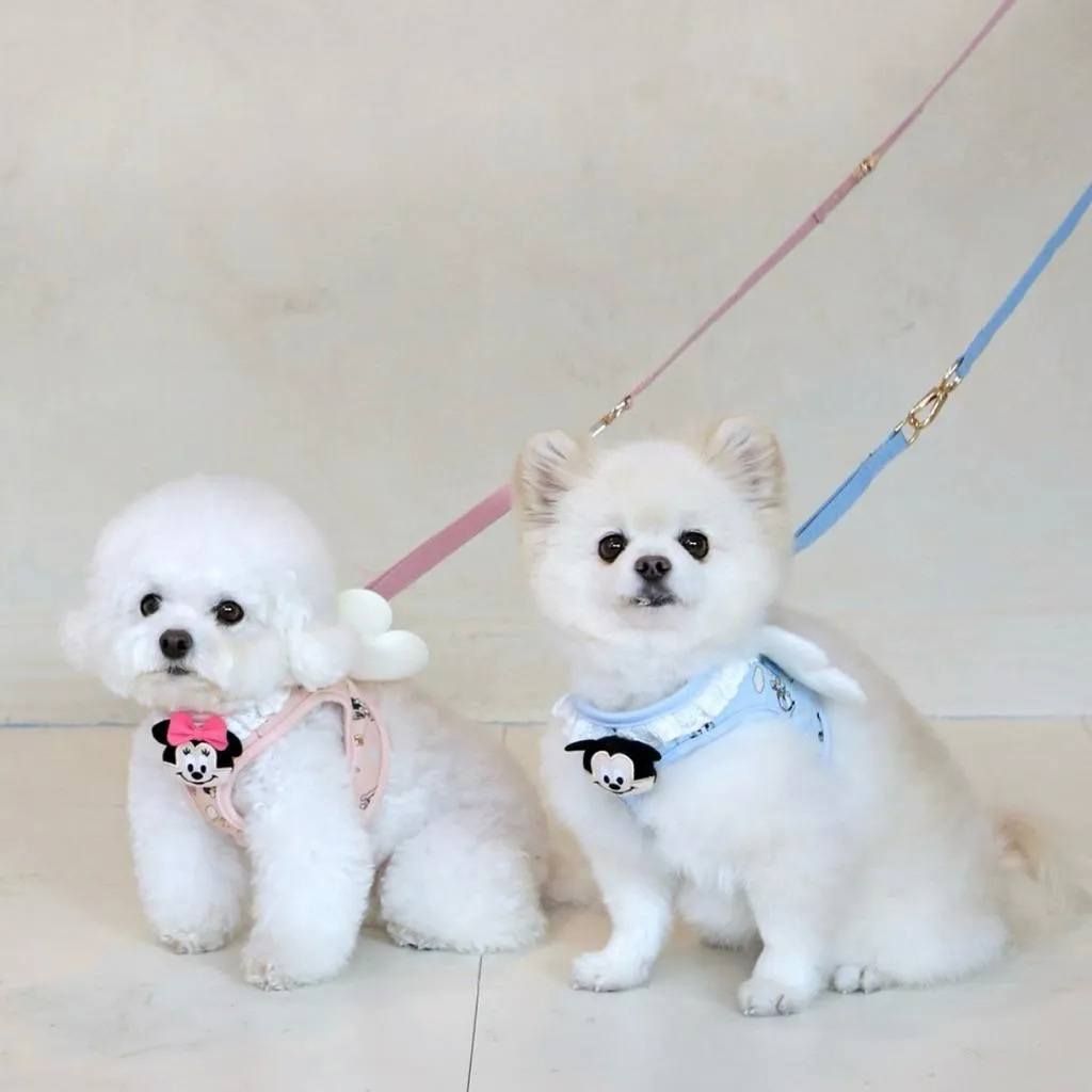 ITSDOG 迪士尼寶寶朋友天使胸背帶 米奇＆米妮 現+預