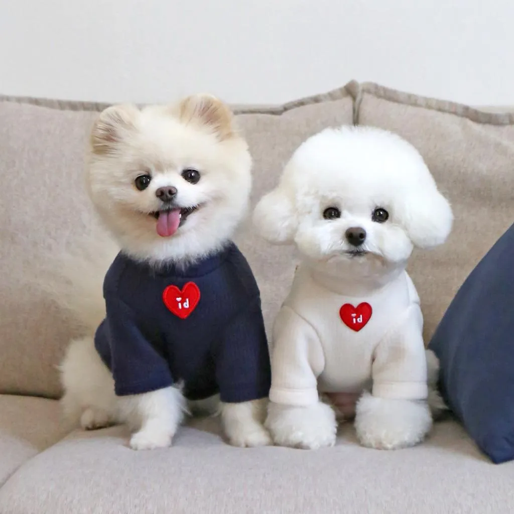 ITSDOG 羊咩咩針織上衣
