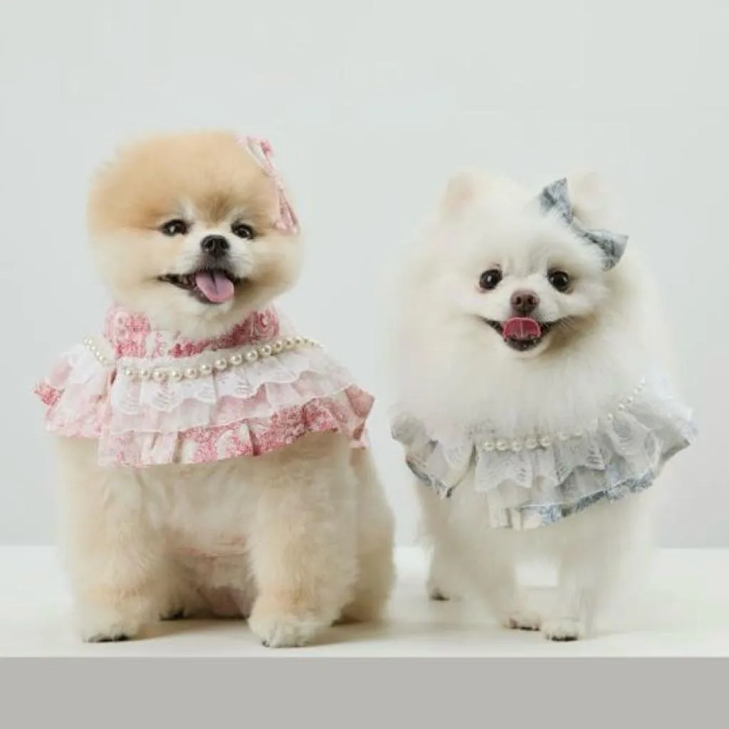 MISS&PET 法式蕾絲珍珠胸背衣 現+預