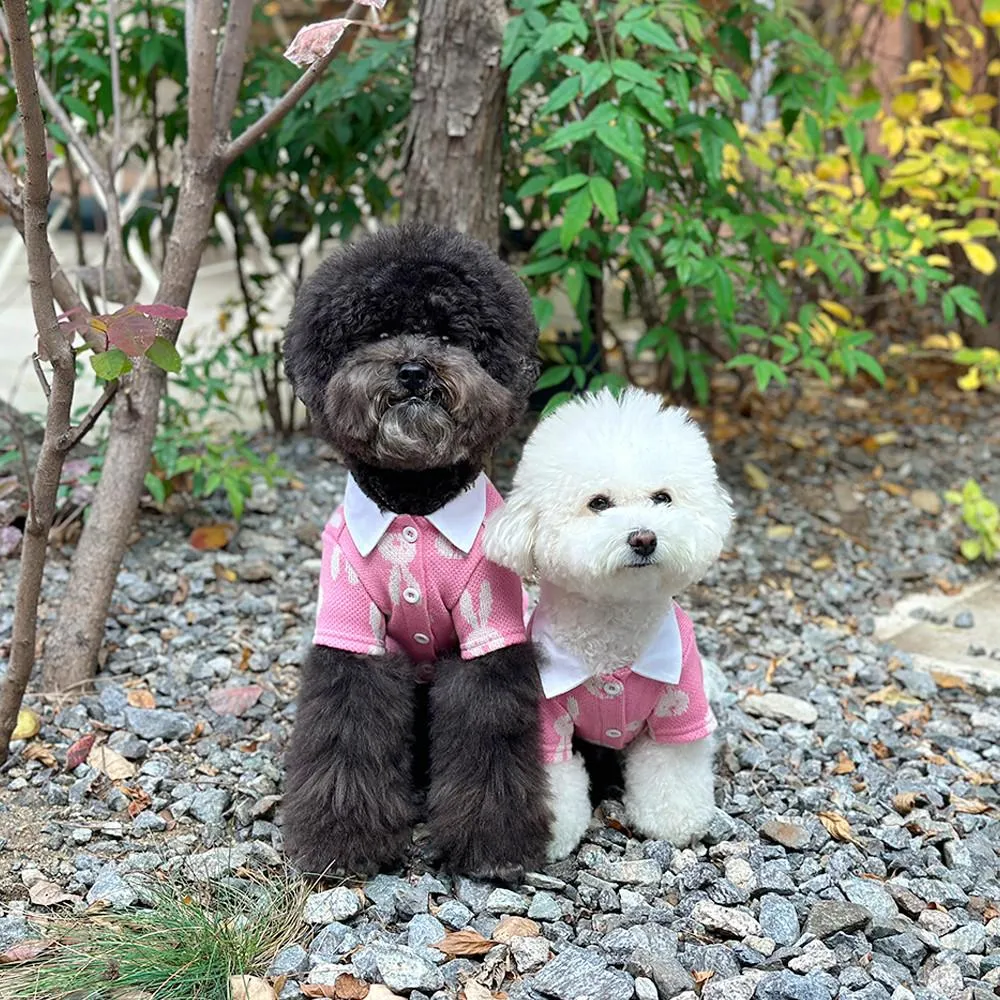 兔兔針織上衣&洋裝 狗狗情侶裝