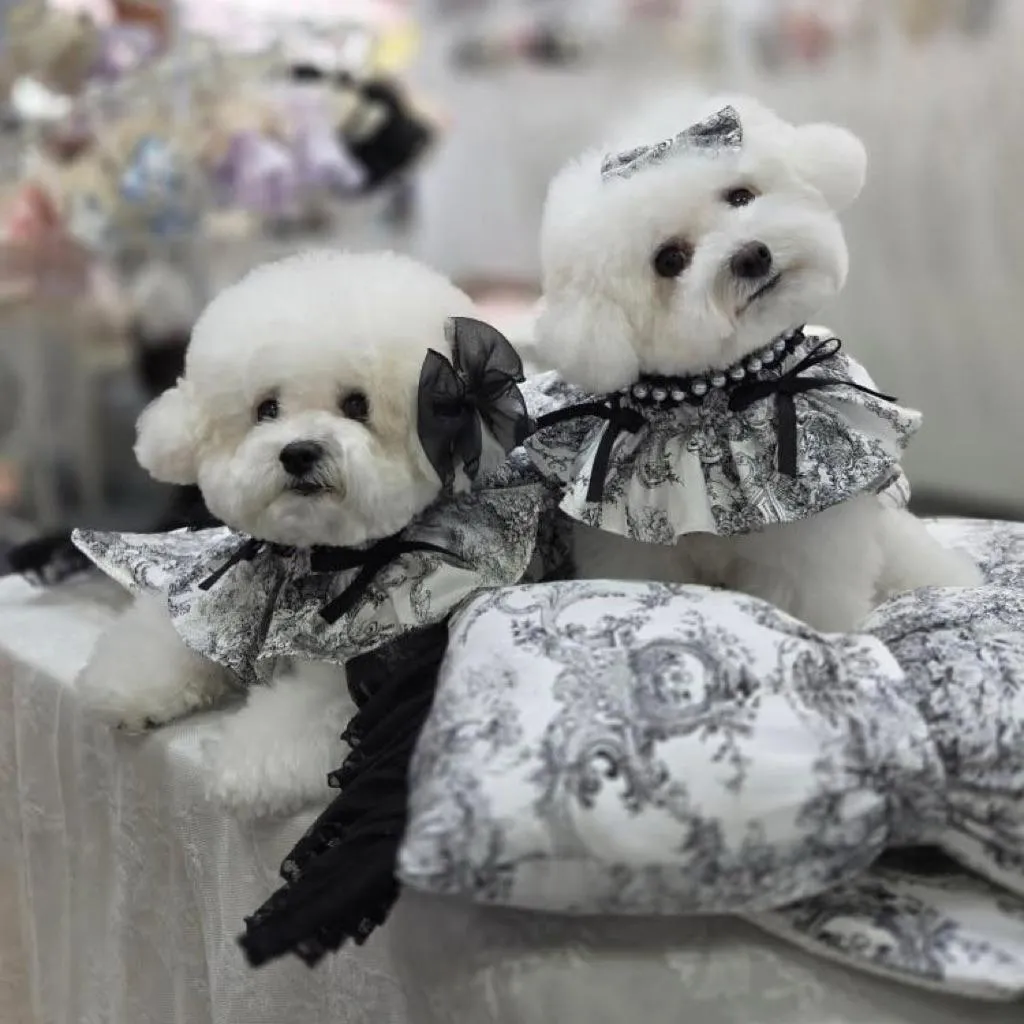 MISS&PET 法式珍珠領巾 蕾絲綁帶