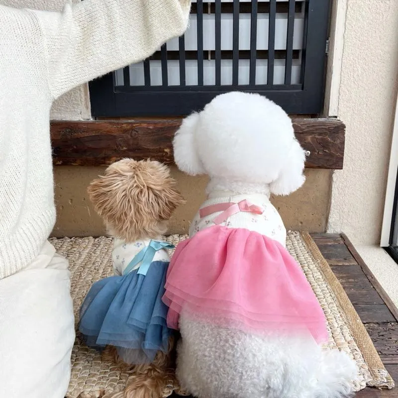 櫻桃小姐紗裙韓服
