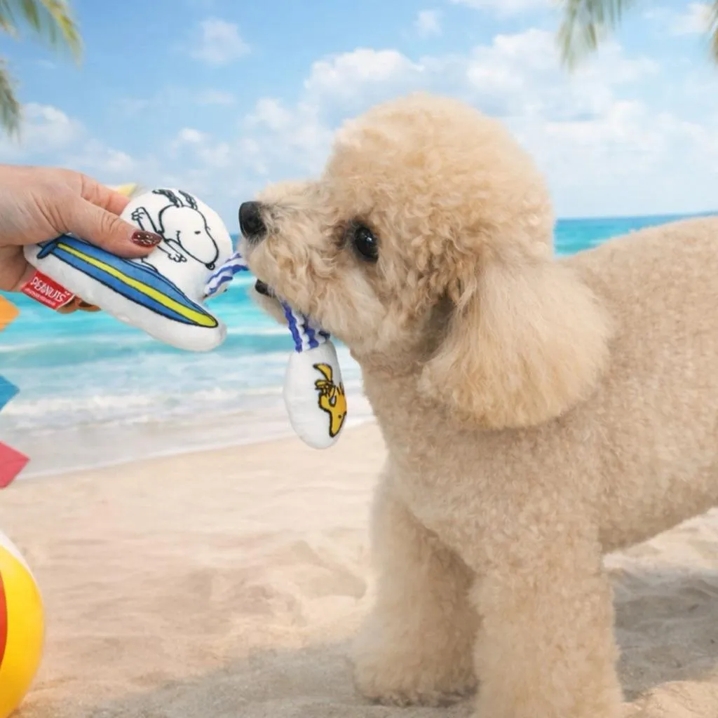 PARISDOG 史努比海灘氛圍伸縮玩具