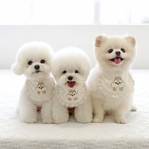 ITSDOG 迪士尼 奇奇蒂蒂 有機棉圍兜