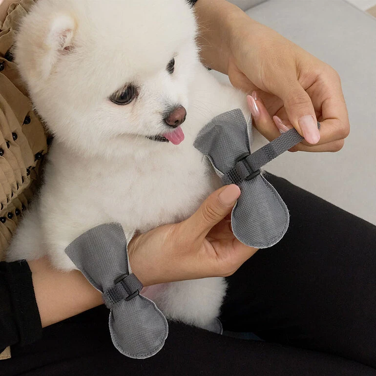BAILEY 一次性狗狗外出鞋套