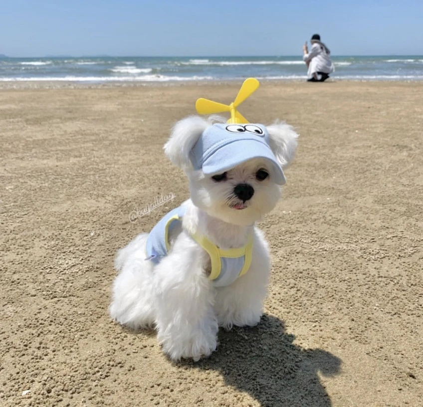 BUYALLDOG 純棉短版背心＆螺旋槳遮陽帽